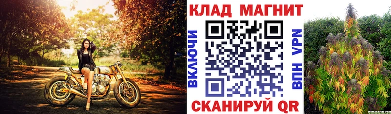 Виды наркотиков купить Балей ГАШИШ  ТГК  Меф  Конопля 