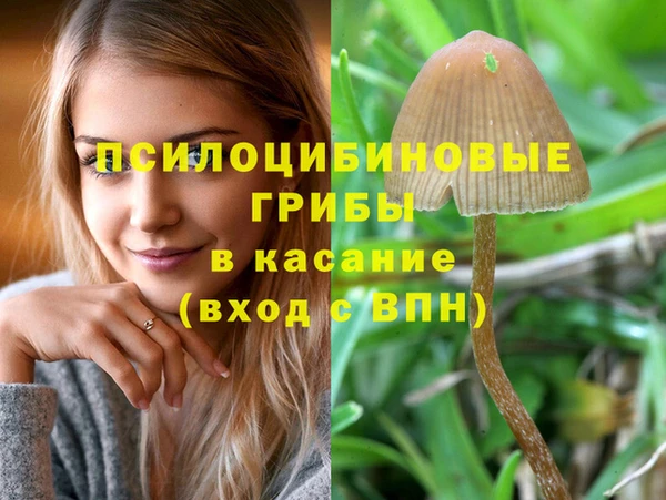 амф Армянск