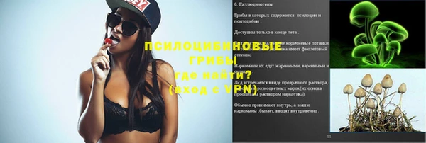 дурь Алексеевка