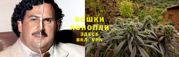 MESCALINE Аркадак